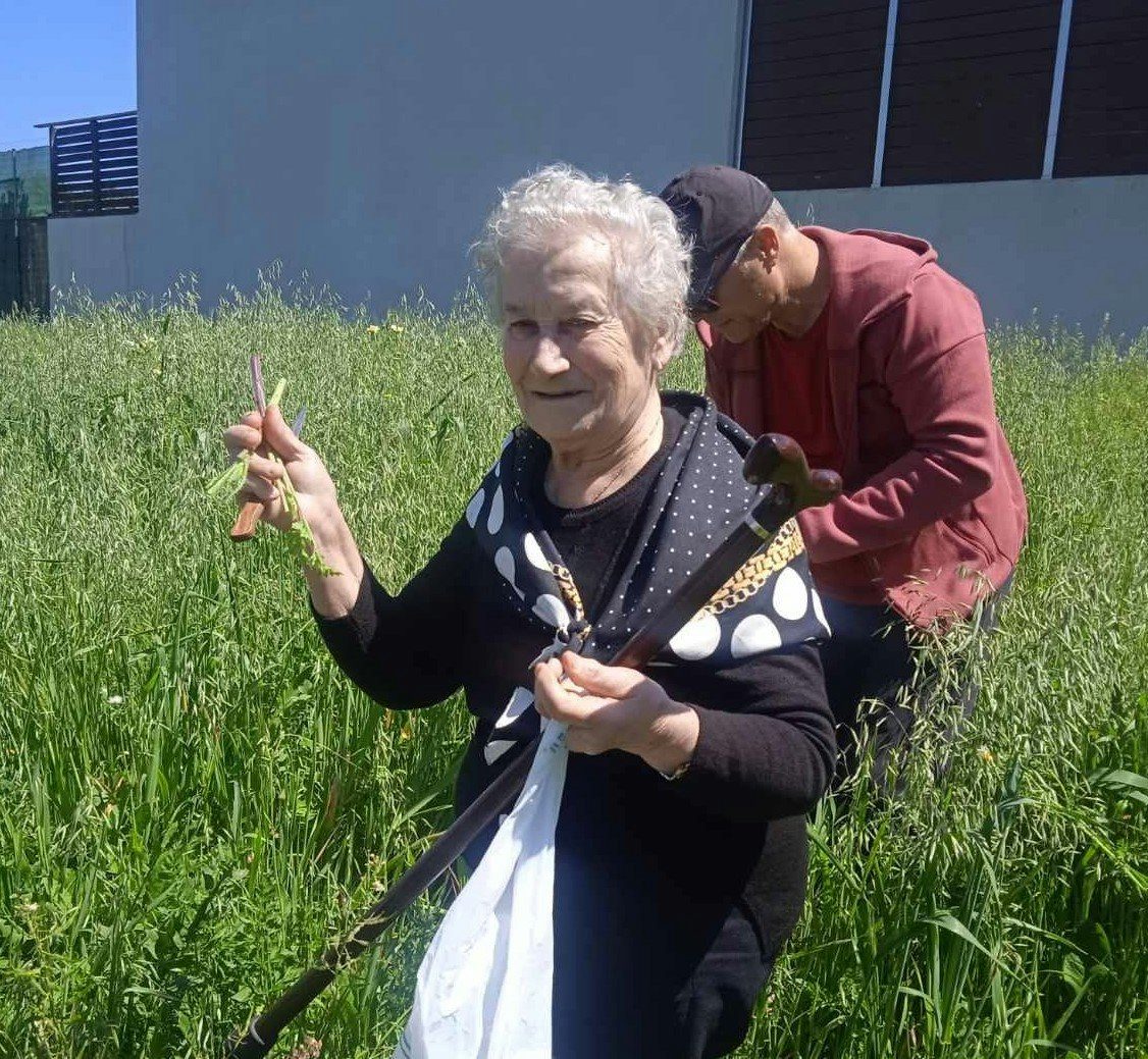 Unlocking the Secrets of Crete's Wild Herbs: Wisdom from a 85-Year-Old Teacher