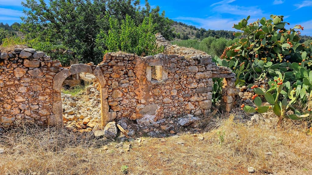 Excursion to a Fairytale Forest