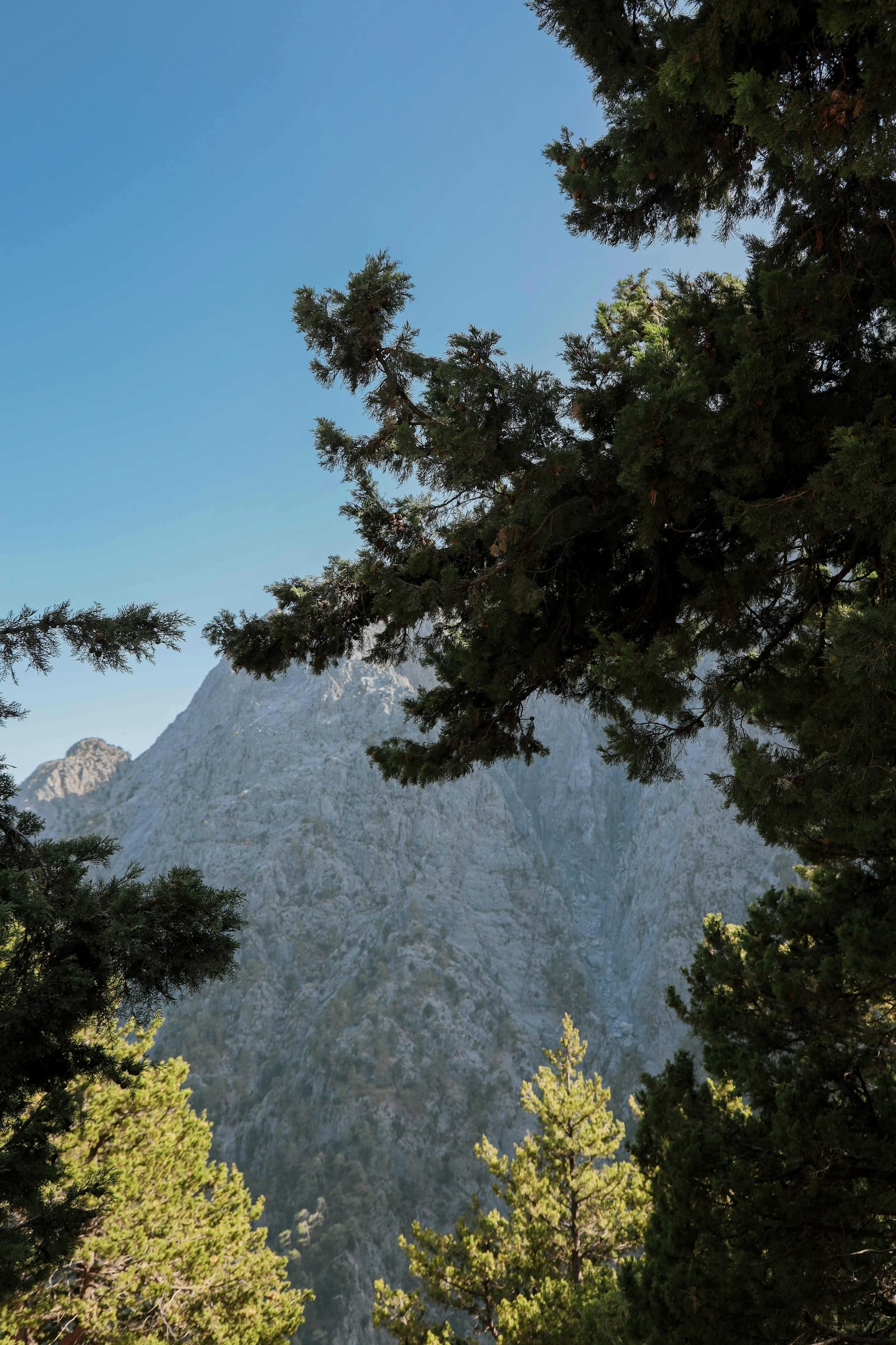 UNESCO: The 4 Protected Areas of Crete